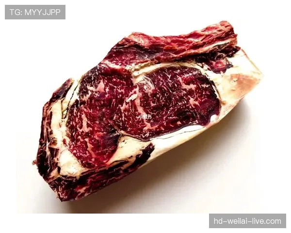 哈兰德冰箱里塞满牛排，训练完直接啃生肉？