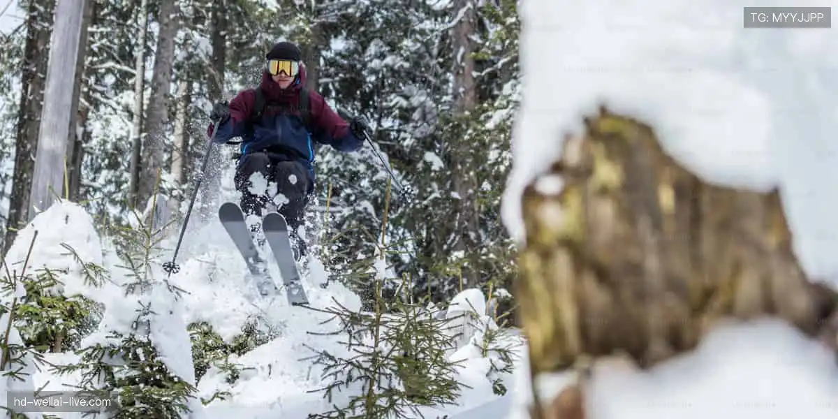 赛事激情，点燃你的运动 DNA！⚽️